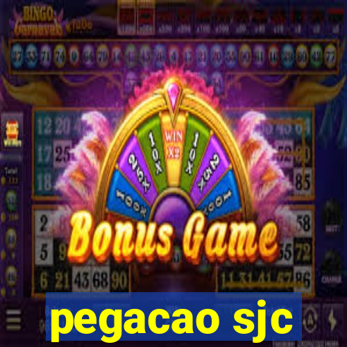 pegacao sjc
